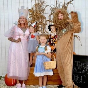 Adult Lion Costume size L/XL